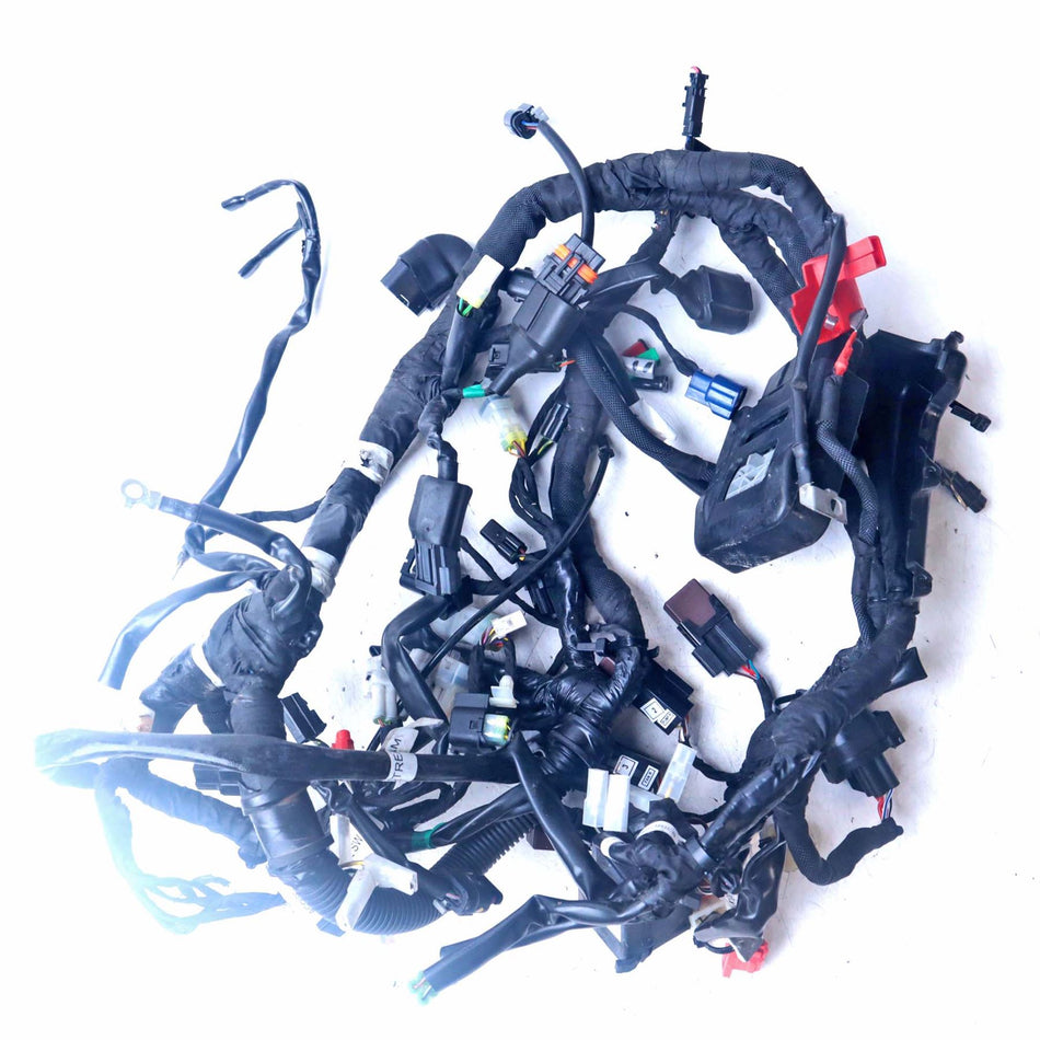 2024 KTM Duke 125 Main Wiring Harness Loom - 96311075000