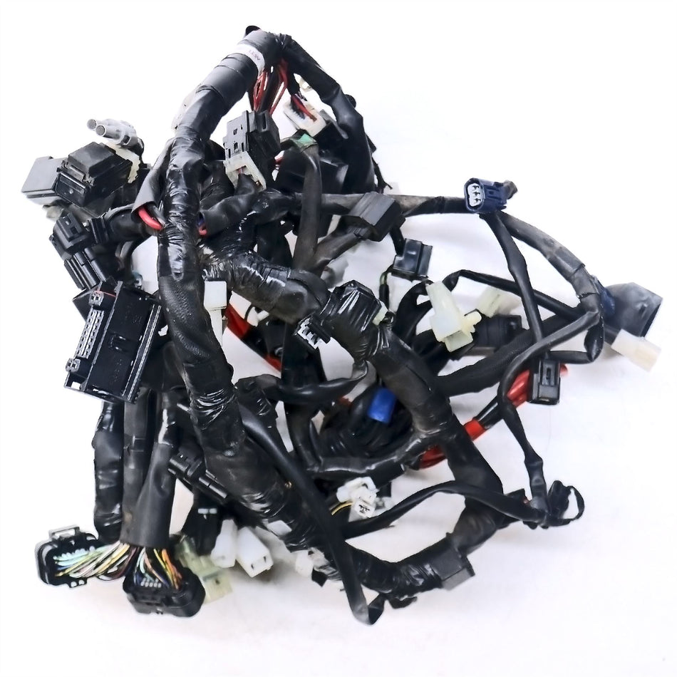 2015 Yamaha MT-09 Wiring Harness Loom - 2DR825902100