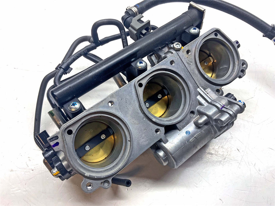 2019 Triumph Tiger 800 XR Throttle Body - T1243400