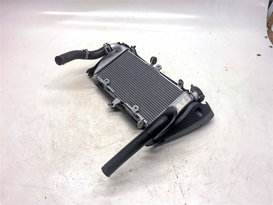 2024 Yamaha MT-03 Radiator - B04E24610000