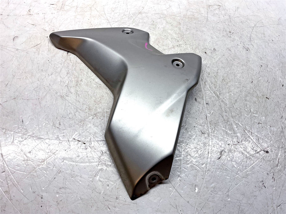 2021 BMW R1250GS Left Radiator Cowl - 46638556653