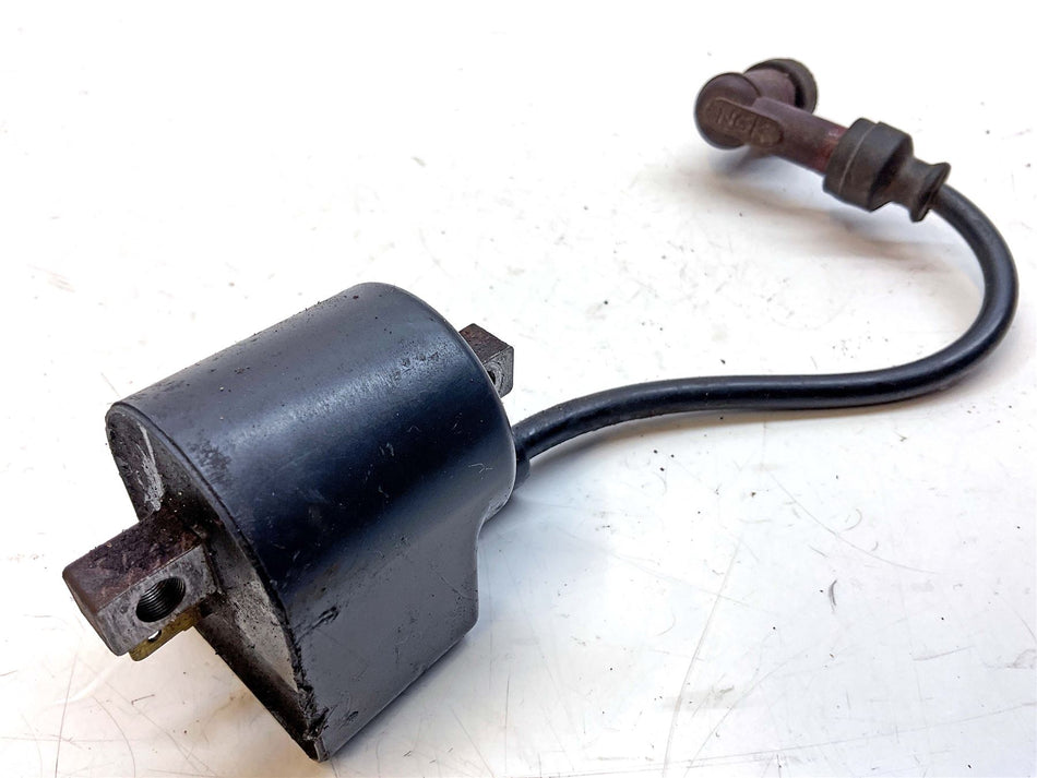 2001 Suzuki TS50 Ignition Coil - 33410487110