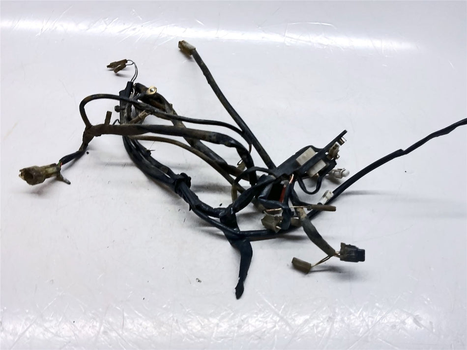 2015 Husqvarna TE125 Wiring Harness - 50311175000