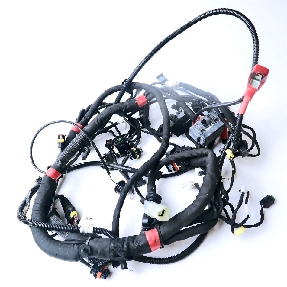 2017 Ducati Monster 797 Main Wiring Harness - 5101B851D