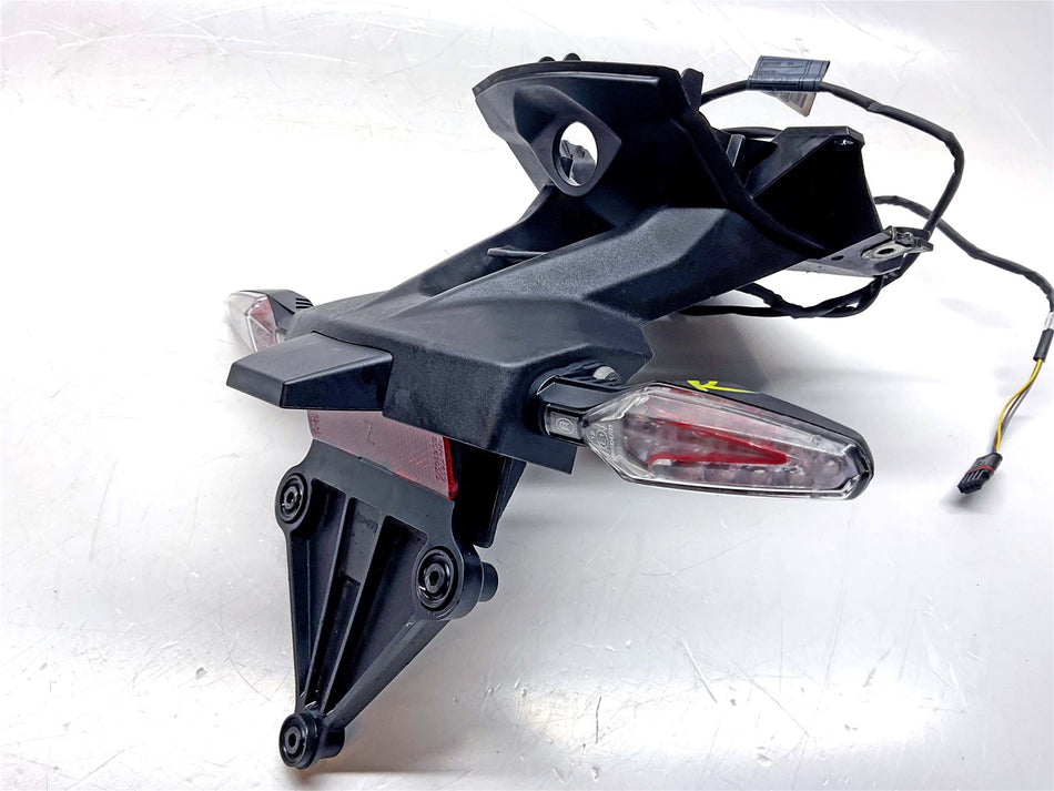 2020 BMW S1000XR Numberplate Holder & Multifunction Indicators - 46628392385