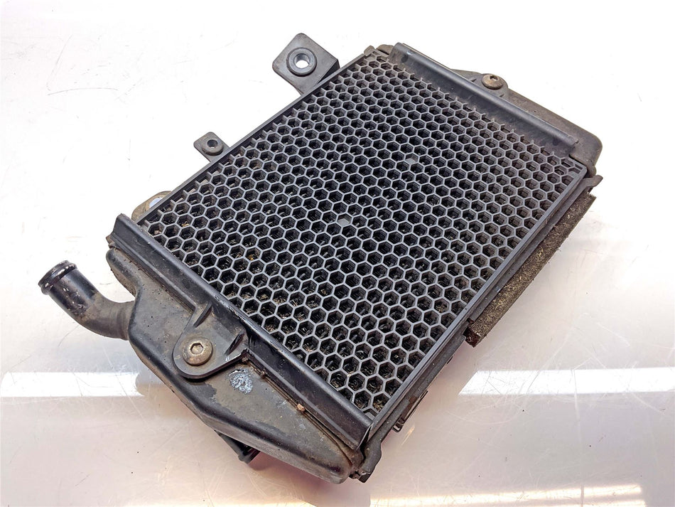 2021 Triumph Tiger 900 GT Pro Radiator - T2104201