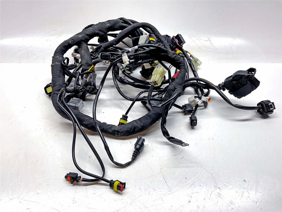 2019 KTM 1290 Super Duke GT Main Wiring Harness - 61411075033