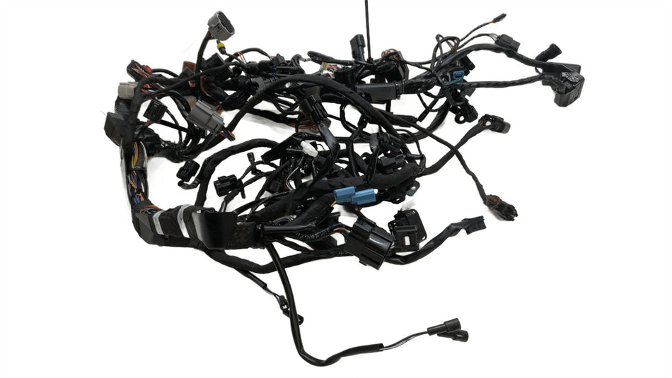 2025 Triumph Tiger 1200 Main Wiring Harness Loom 2501099