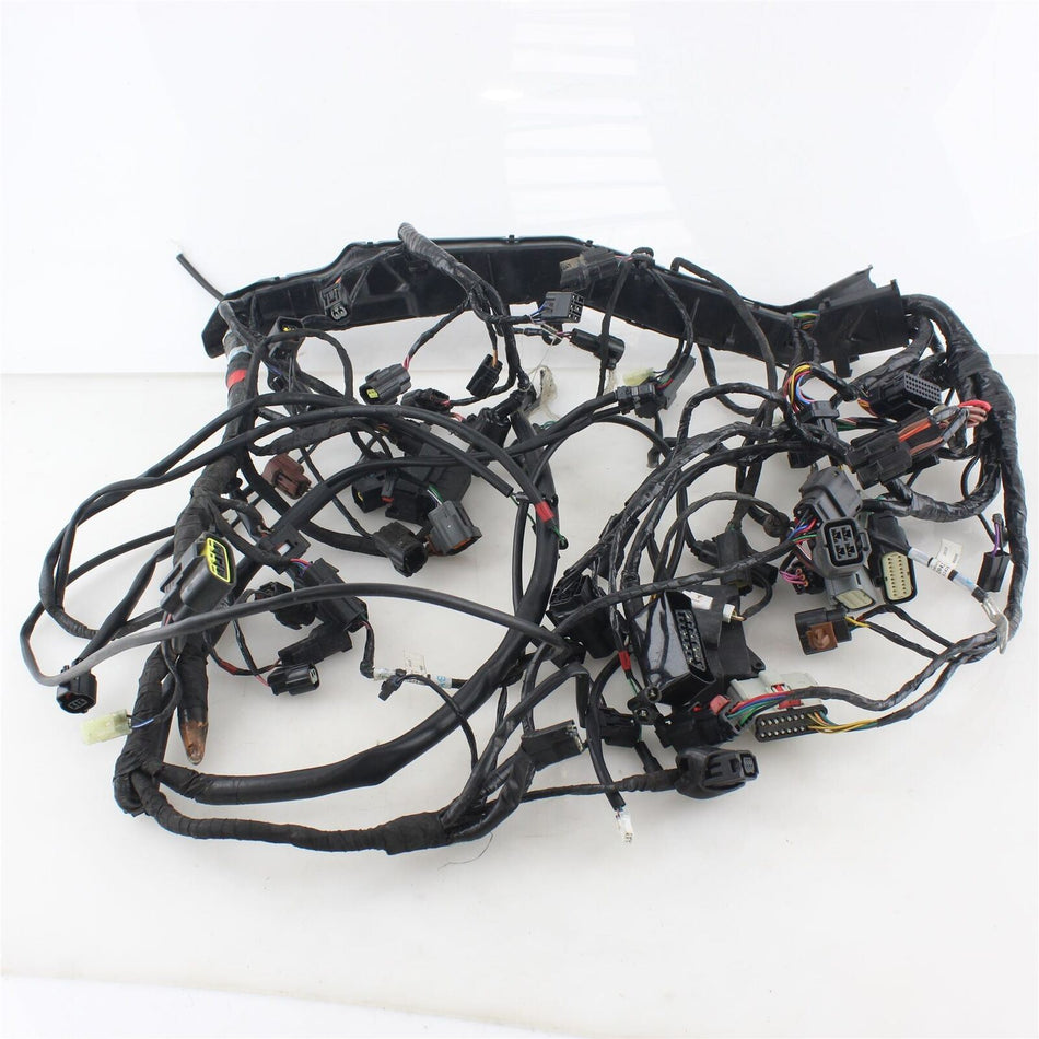2020-ON TRIUMPH TIGER 900 GT PRO Main Wiring Harness/Loom - T2502370