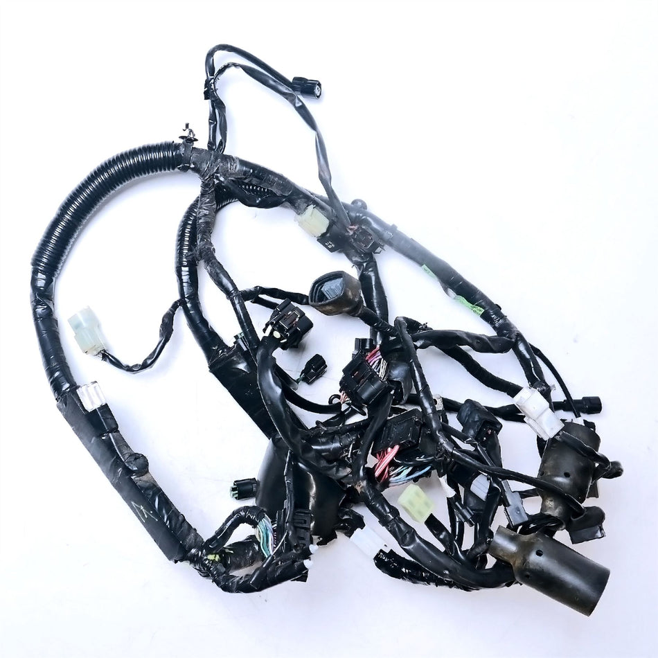 2023 Kawasaki Z125 Main Wiring Harness - 260312996