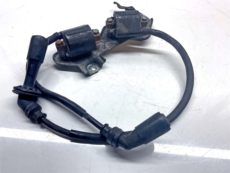 2014 Suzuki V-Strom 1000 DL1000 Ignition Coils - 3341020H01