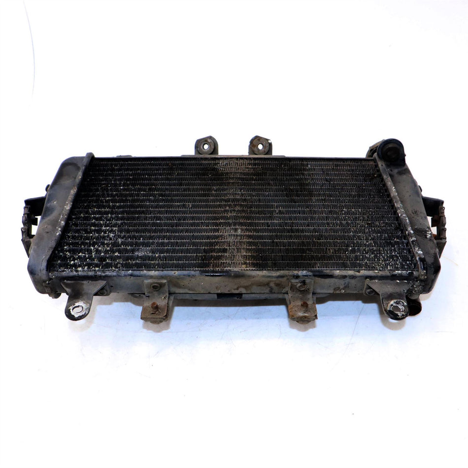 2007 TRIUMPH TIGER 1050 Radiator - T2100240