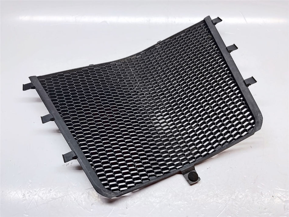 2023 BMW M1000R Main Radiator Guard