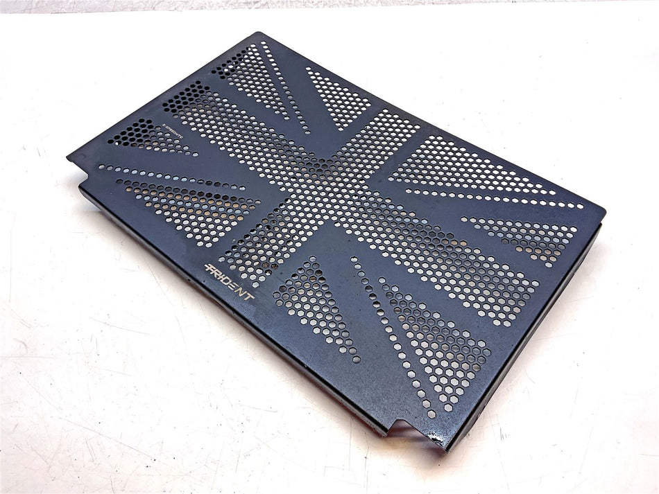 2022 Triumph Trident 660 Radiator Guard