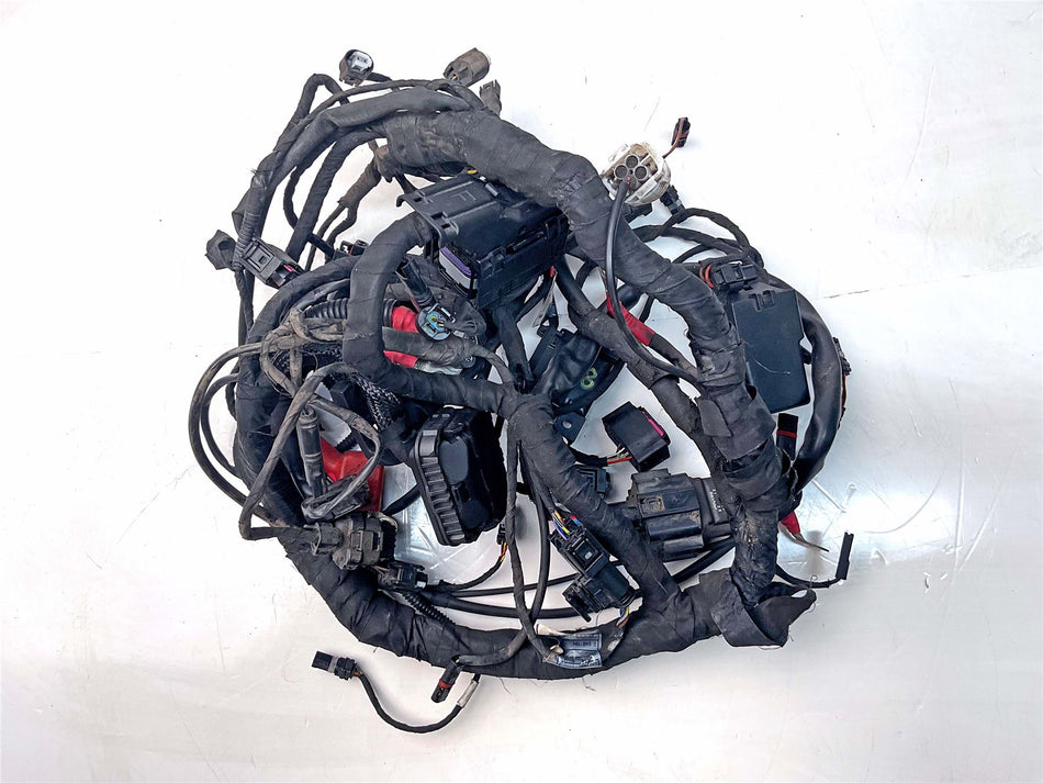 2017 BMW R Nine T Main Wiring Harness Loom  - 8569726756