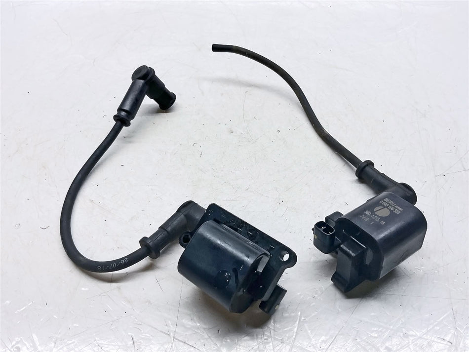2019 Ducati Scrambler Full Throttle Ignition coils - 38010151A