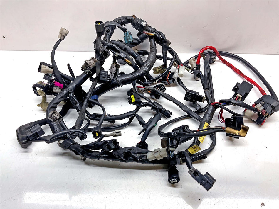2014 Yamaha MT-09 Wiring Harness Loom - 2DR825900100