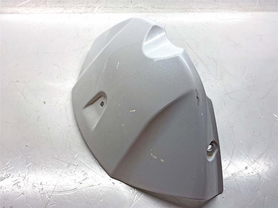 2019 Triumph Speed Triple 1050 S Fuel Tank Cover Panel - T2401262NW