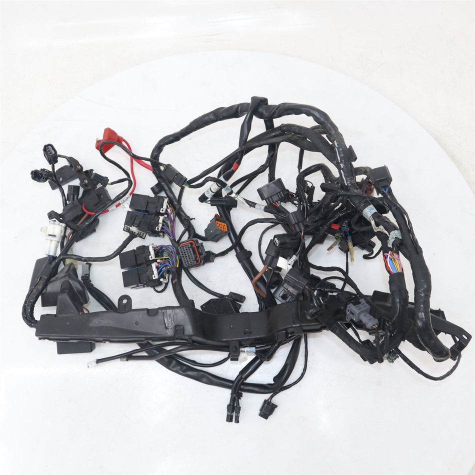 2013-2017 TRIUMPH STREET TRIPLE RS Wiring Loom - T2508055