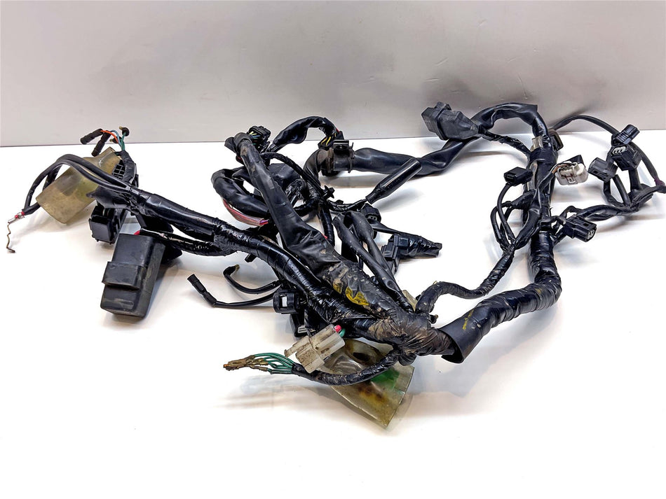 2020 Honda Monkey Wiring Harness Loom - 32100K0FD10