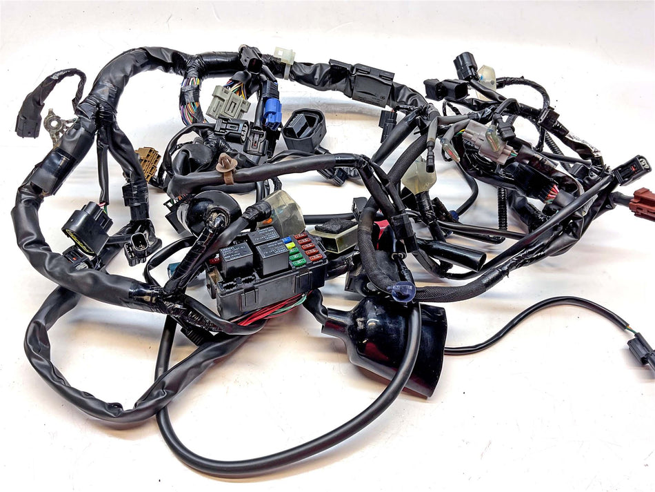 2019-2023 Honda CBR650R Wiring Harness