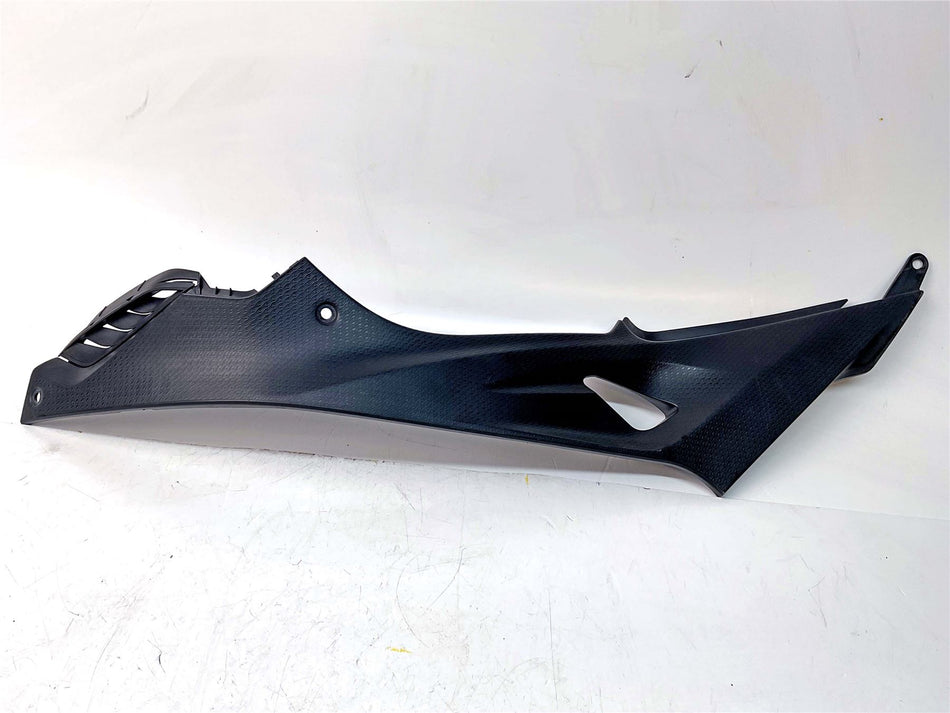2018 BMW S1000R Left Side Fairing - 46638551925
