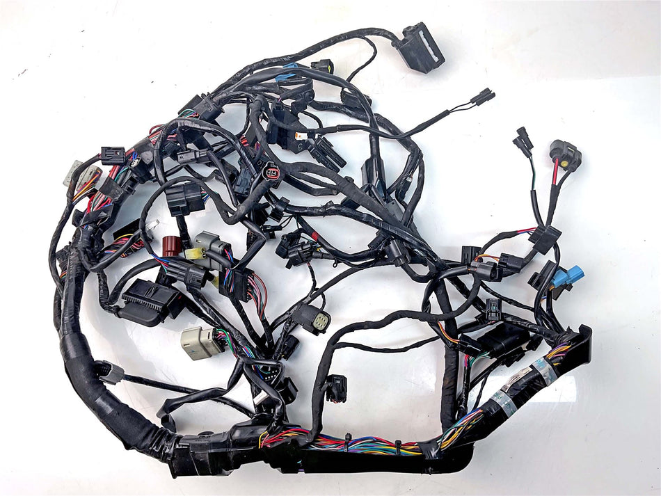 2022 Triumph Tiger 1200 Rally Pro Wiring Harness Loom - T2505588