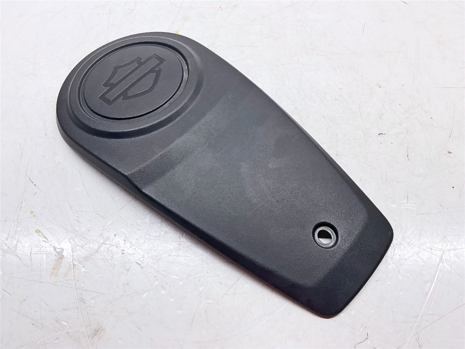 2023 Harley-Davidson Nightster Special 975S Tank Panel - 70900992