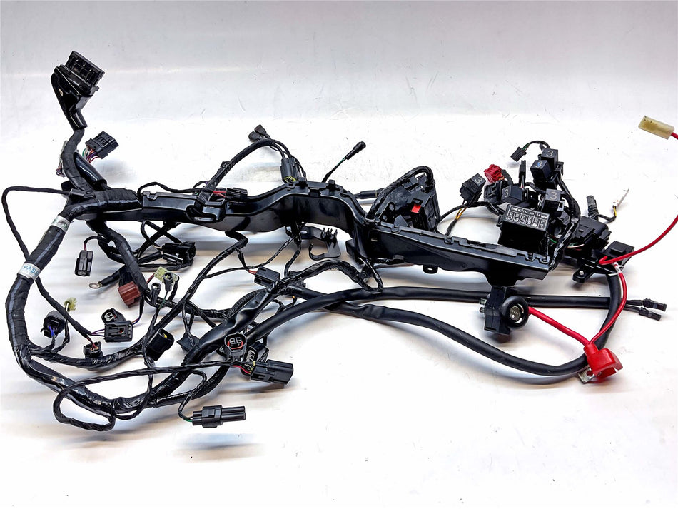 2025 Triumph Street Triple 765 RS Main Harness Loom - T2506117