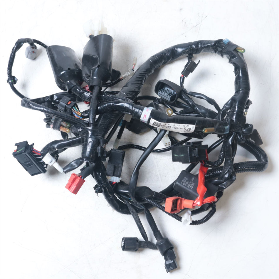 2022 Yamaha XSR125 Wiring Harness - BFGH259000