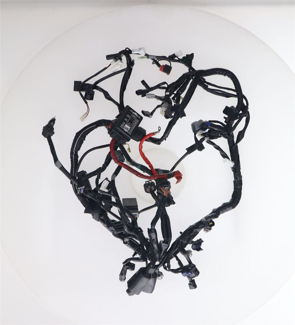 2021-ON YAMAHA MT-09 SP Wiring Loom - BAM825900200