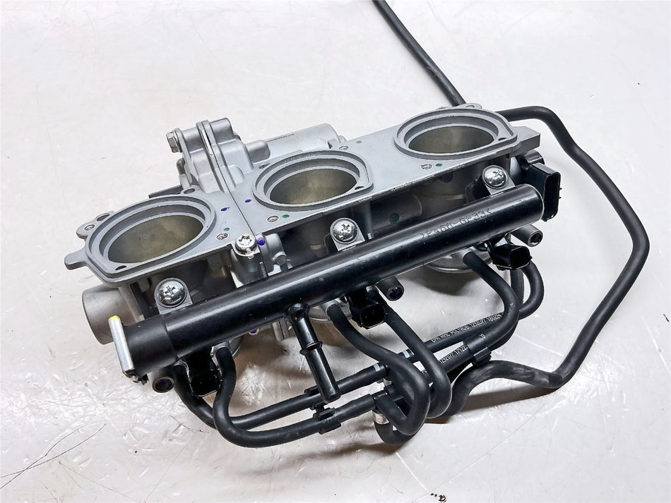 2025 Triumph Tiger 900 Rally Pro Throttle Body Assembly - T1243400