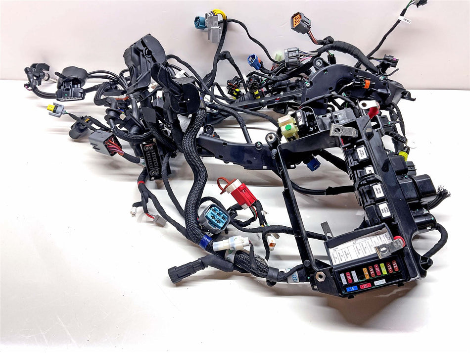 2025 Ducati Streetfighter V2 Wiring Harness Loom - 5101N191C