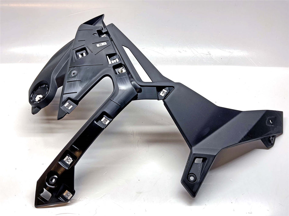 2025 BMW S1000R Sport Right Infill Panel  - 46638393624