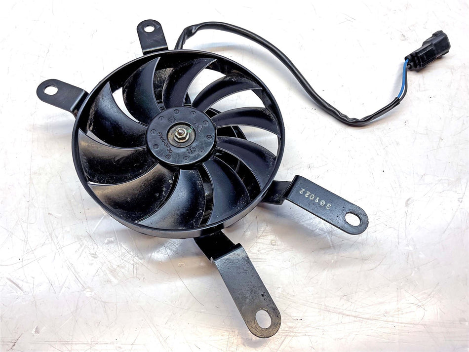 2023 Triumph Tiger 660 Sport Fan - T2106302