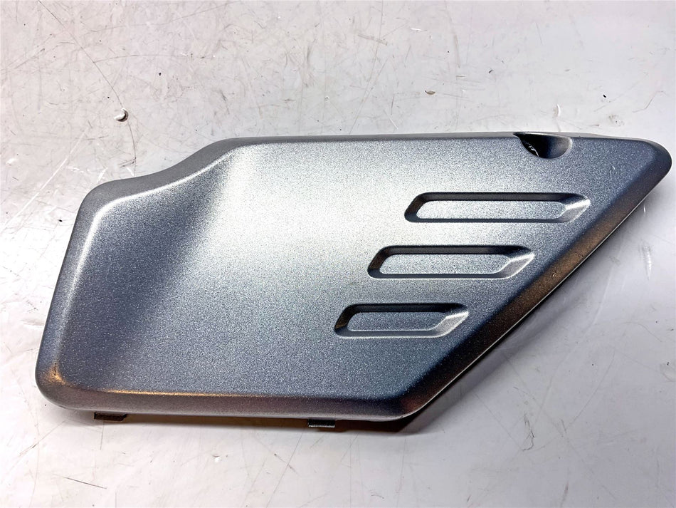 2023 Kawasaki Z650RS Left Side Cover - 36001072863E