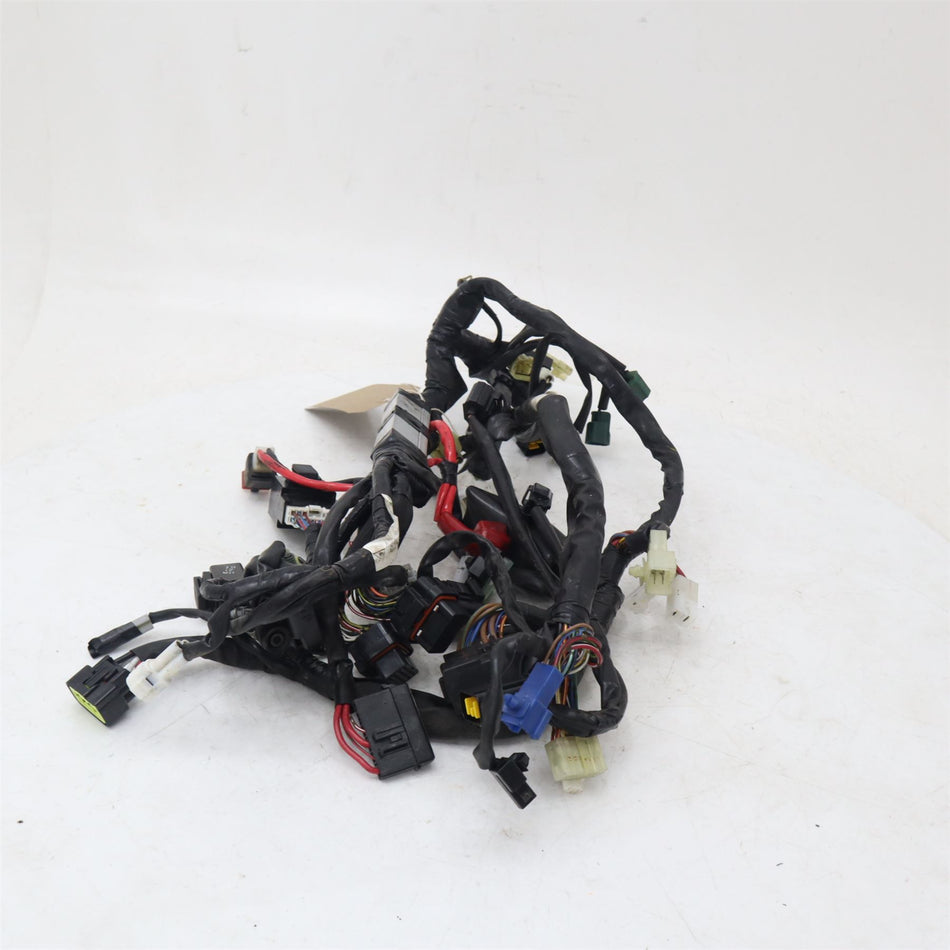 2013 YAMAHA YZF R6 Wiring Harness - 13S8259040