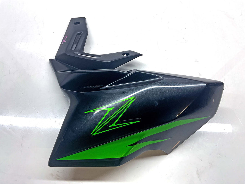 2025 Kawasaki ER-6N SSFAN Front Right Fairing Cover - 491340009