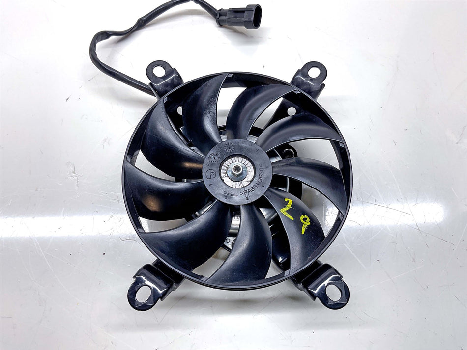 2024 Benelli TRK 702 X Radiator & Fan - 279026030020