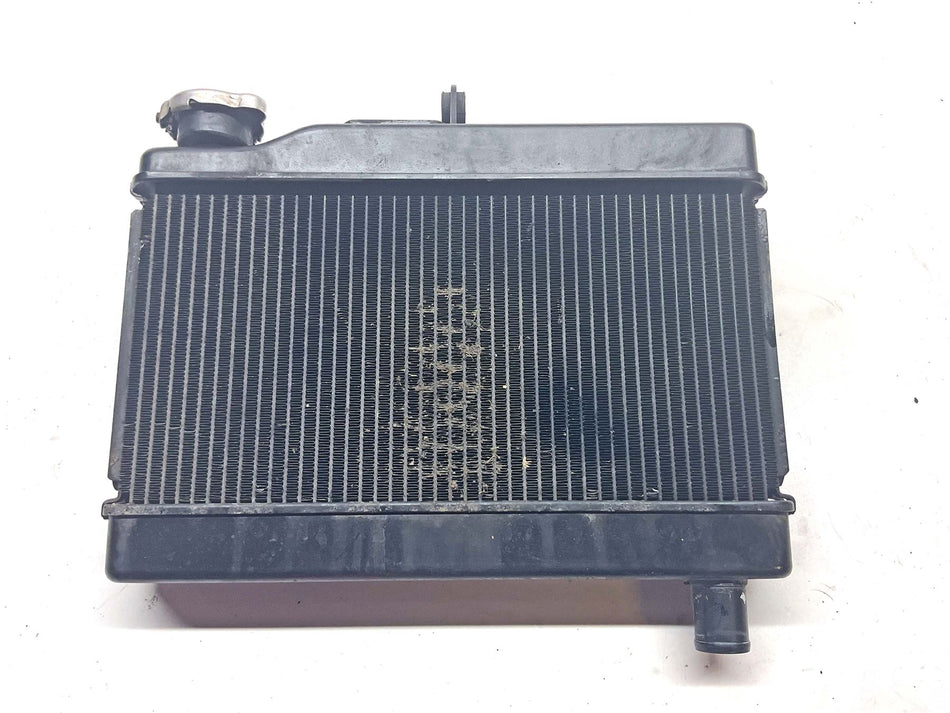 2023 Honda CMX500 REBEL Radiator - 19010MKGD81