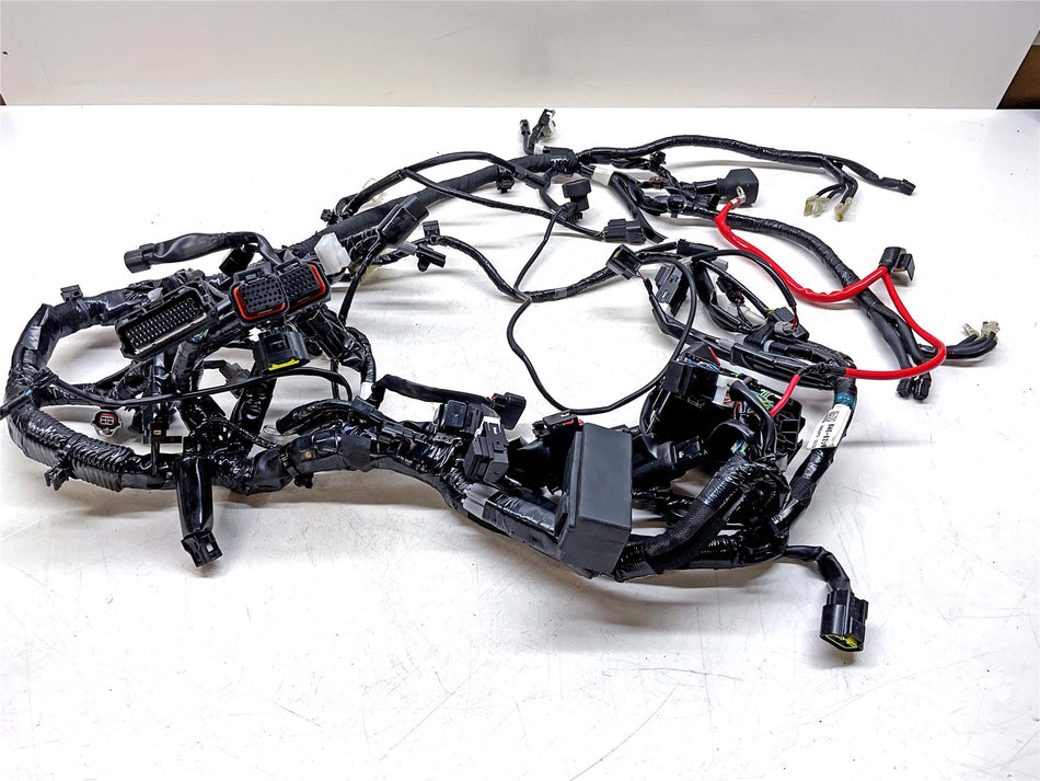 2025 Yamaha MT-09 Wiring Harness Loom - BME825900000