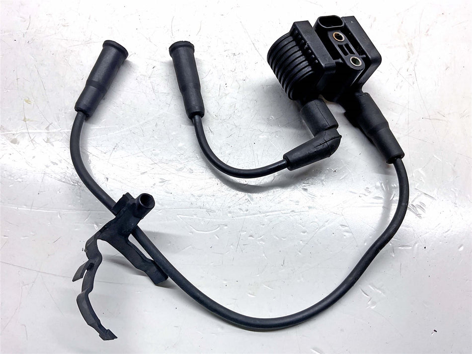 2021 Harley-Davidson Iron 1200 XL1200NS Ignition Coil - 3165607