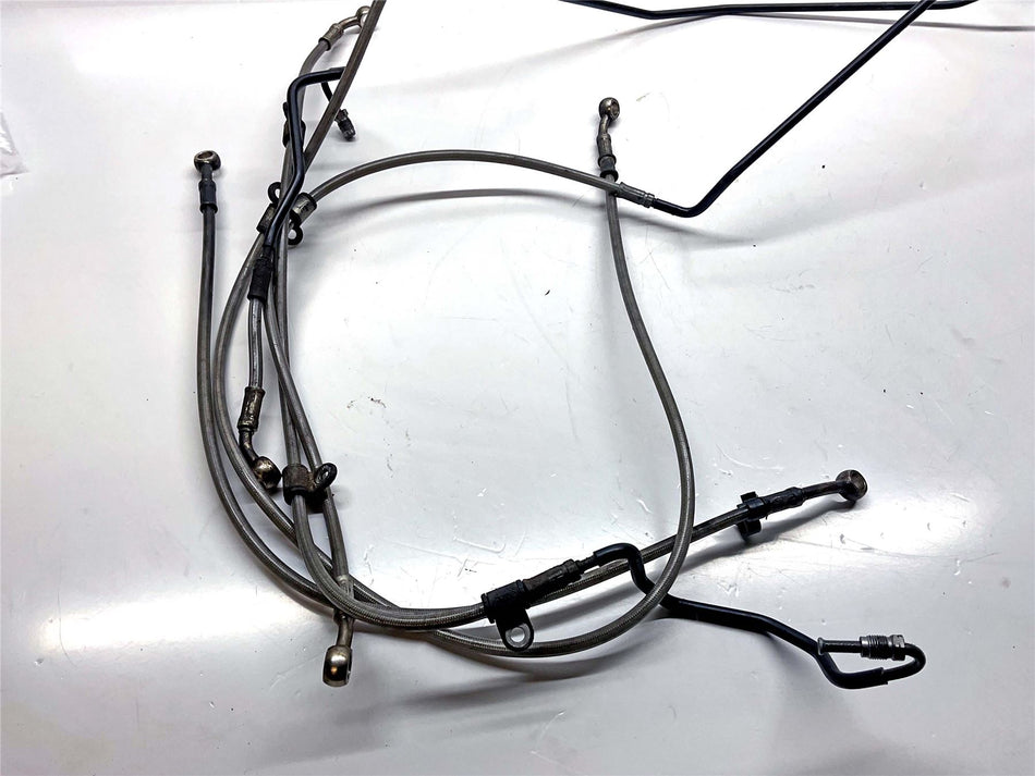 2017 Triumph Tiger 800 XRX Assorted Brake Lines