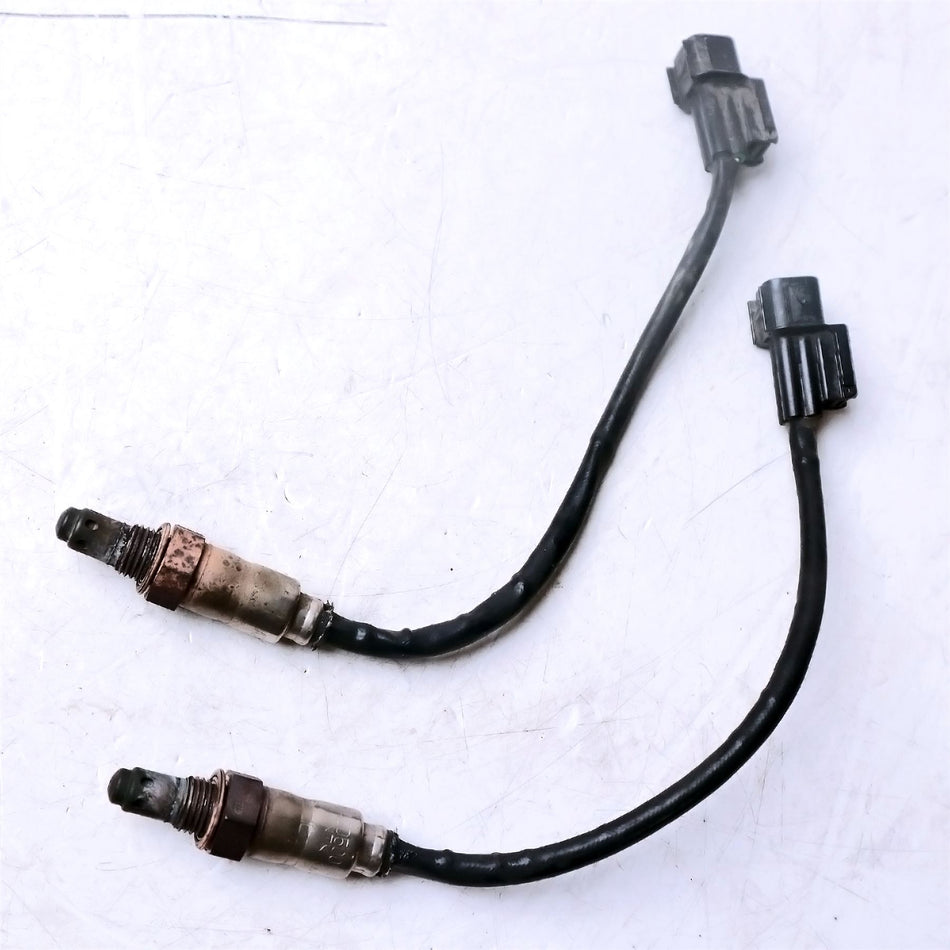 2023 Moto Guzzi V85 TT Guardia d Onore E5 Lambda Sensor Leads - 1A014355