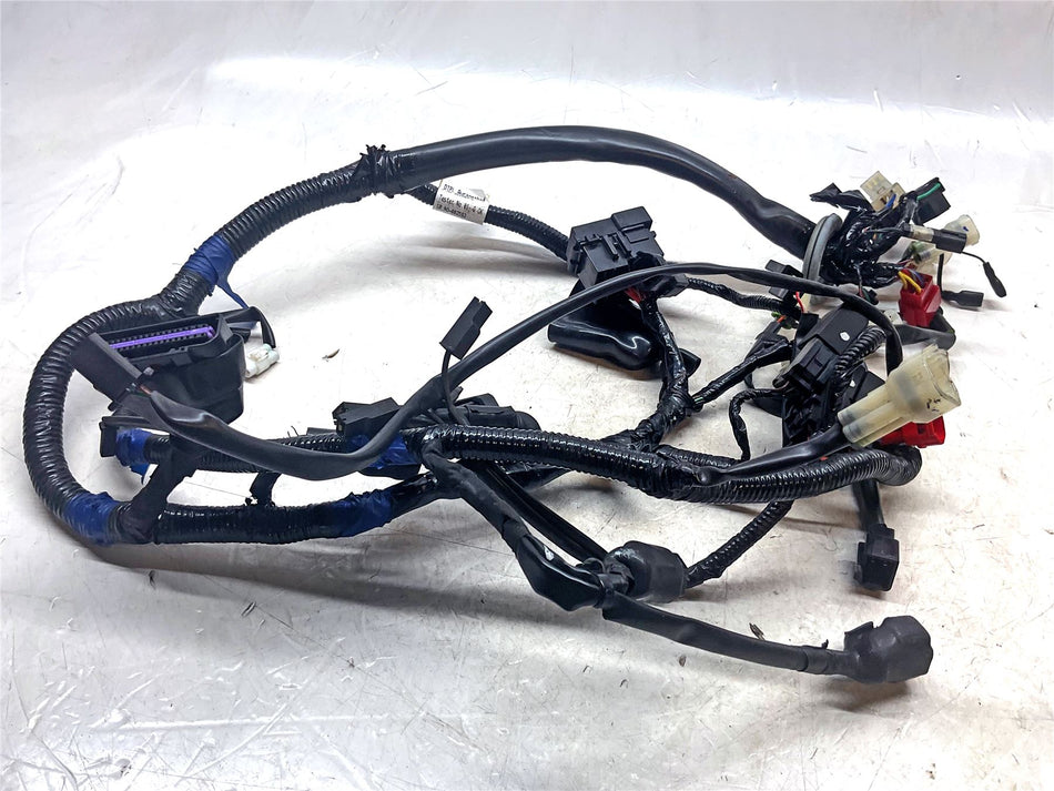 2015 Royal Enfield Continental GT Wiring Harness Loom - 585064