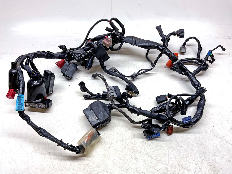 2023 Honda CB500F Wiring Harness Loom - 32100MKPDP0