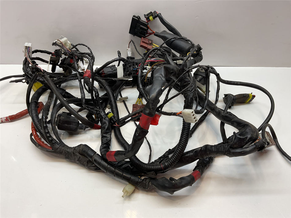 2010 Vespa GTS250 Wiring Harness Loom - 1D000608