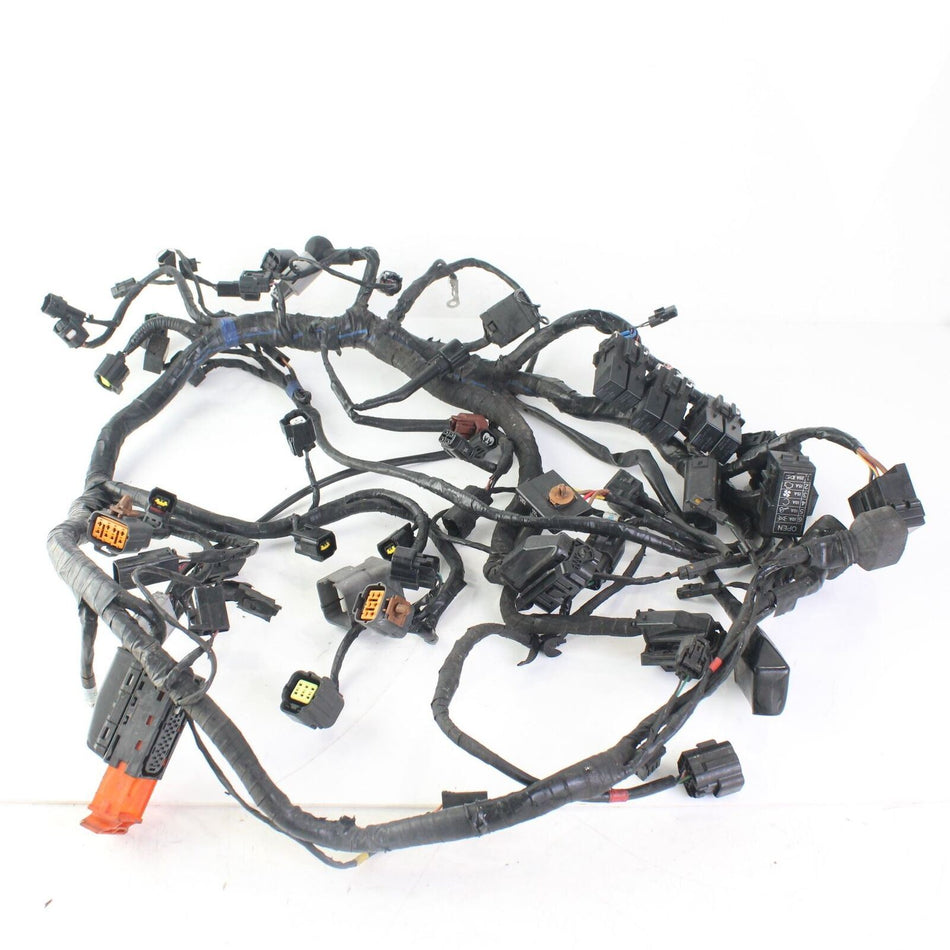 2013-2015 TRIUMPH TIGER EXPLORER XC 1200 Main Wiring Loom  - T2501095