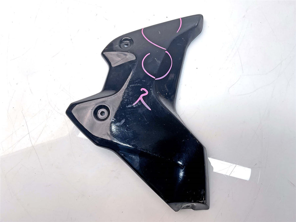 2021 BMW R1250GS Right Radiator Cowl - 46638556654