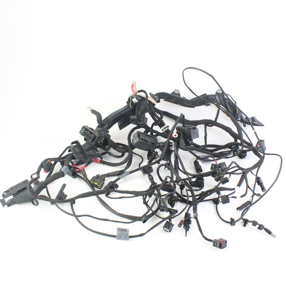 2018-ON BMW R 1250 ADVENTURE TE Main Wiring Loom/Harness ESA - 61119480785